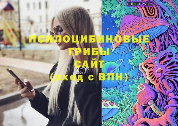 экстази Белокуриха